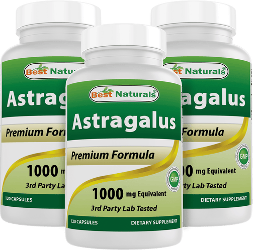 Best Naturals - Astragalus 1000 Mg 120 Capsules